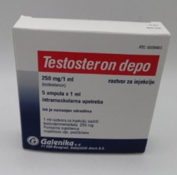 10x Galenika Testosteron 1x250mg/ml