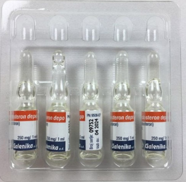 10x Galenika Testosteron 1x250mg/ml